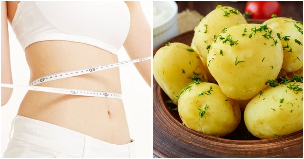 khoai tây giảm cân